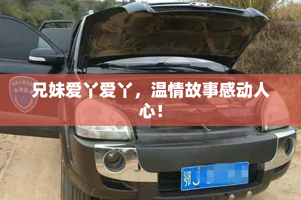 兄妹爱丫爱丫，温情故事感动人心！