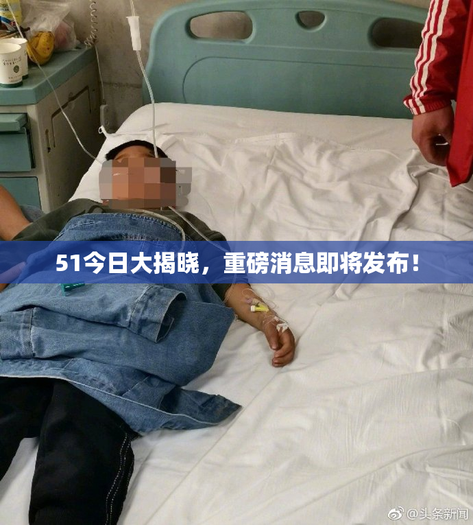 51今日大揭晓，重磅消息即将发布！