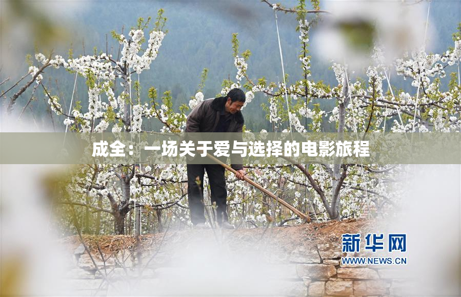 成全：一场关于爱与选择的电影旅程