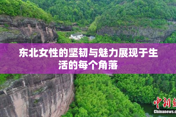 东北女性的坚韧与魅力展现于生活的每个角落