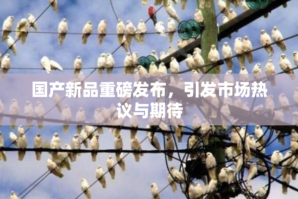 国产新品重磅发布，引发市场热议与期待