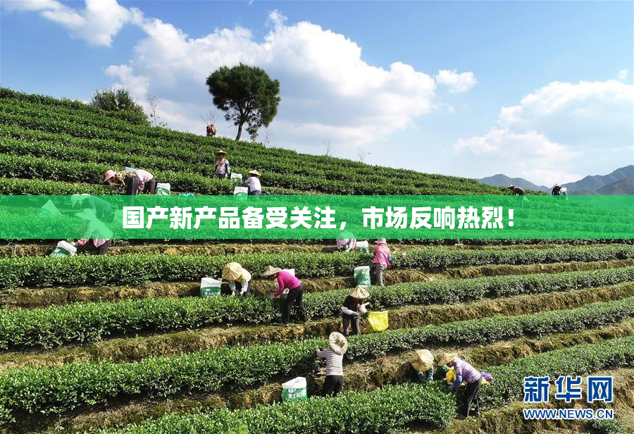 国产新产品备受关注，市场反响热烈！