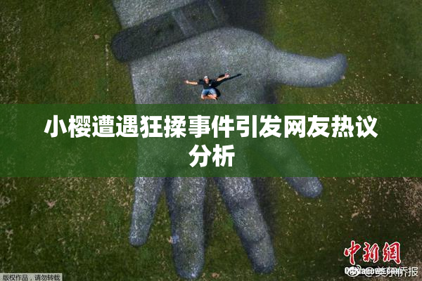 小樱遭遇狂揉事件引发网友热议分析