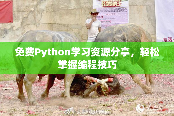 免费Python学习资源分享，轻松掌握编程技巧