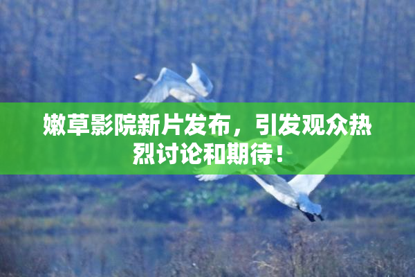 嫩草影院新片发布，引发观众热烈讨论和期待！