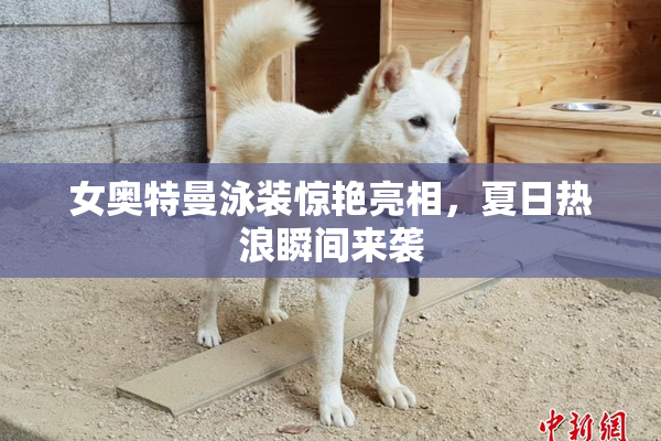 女奥特曼泳装惊艳亮相，夏日热浪瞬间来袭