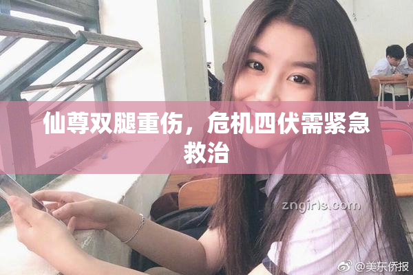 仙尊双腿重伤，危机四伏需紧急救治