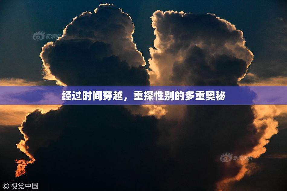 经过时间穿越，重探性别的多重奥秘