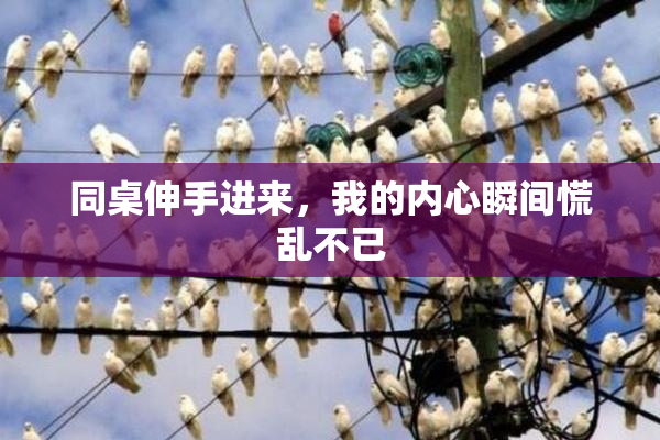 同桌伸手进来，我的内心瞬间慌乱不已