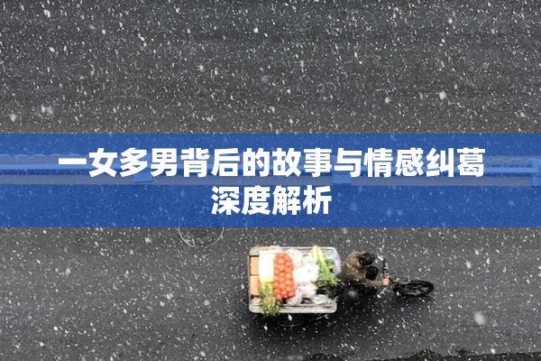 一女多男背后的故事与情感纠葛深度解析