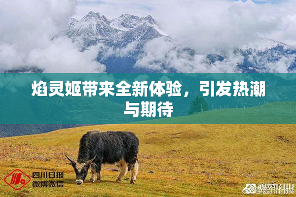 焰灵姬带来全新体验，引发热潮与期待