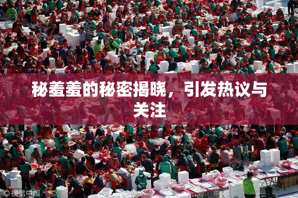 秘羞羞的秘密揭晓，引发热议与关注