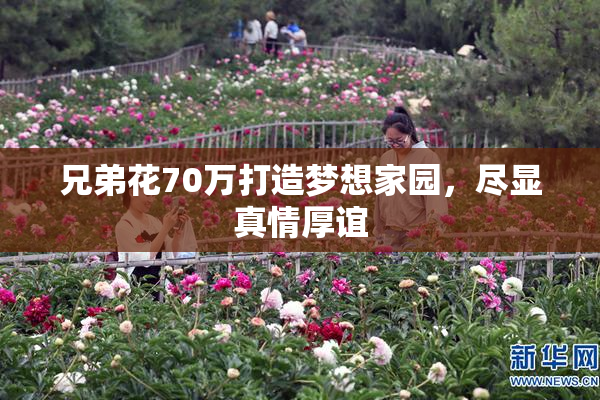 兄弟花70万打造梦想家园，尽显真情厚谊