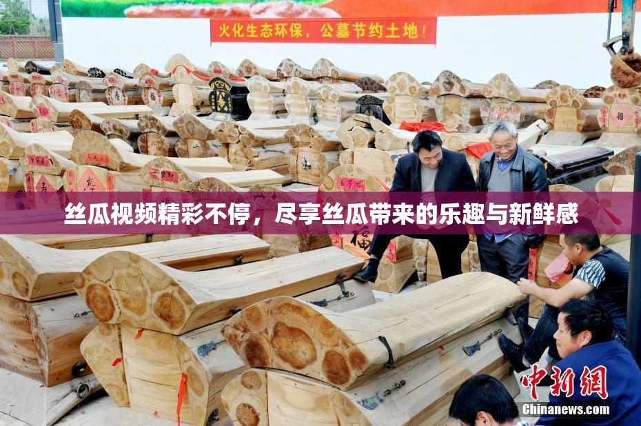 丝瓜视频精彩不停，尽享丝瓜带来的乐趣与新鲜感
