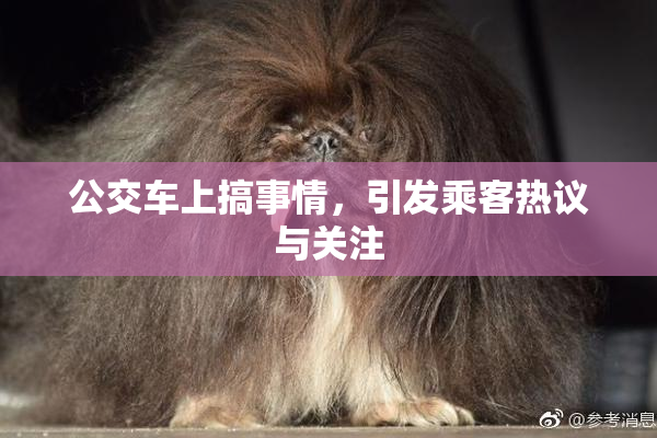 公交车上搞事情，引发乘客热议与关注