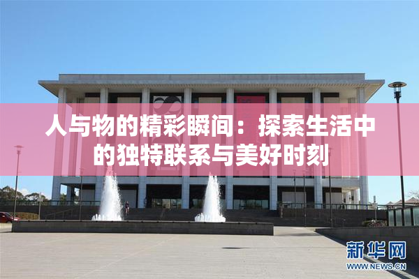 人与物的精彩瞬间：探索生活中的独特联系与美好时刻