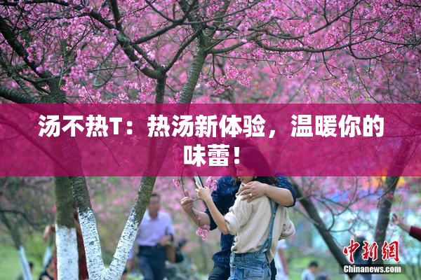 汤不热T：热汤新体验，温暖你的味蕾！