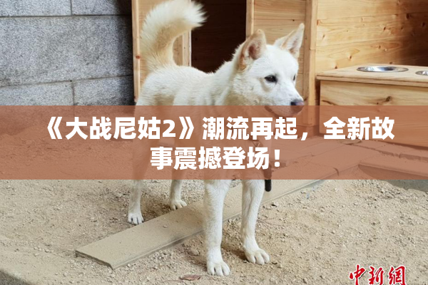 《大战尼姑2》潮流再起，全新故事震撼登场！