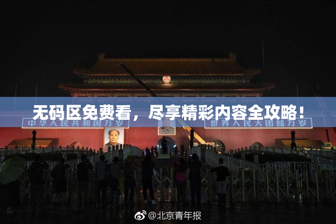 无码区免费看，尽享精彩内容全攻略！