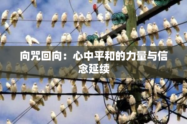 向咒回向：心中平和的力量与信念延续