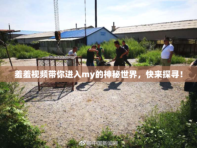 羞羞视频带你进入my的神秘世界，快来探寻！