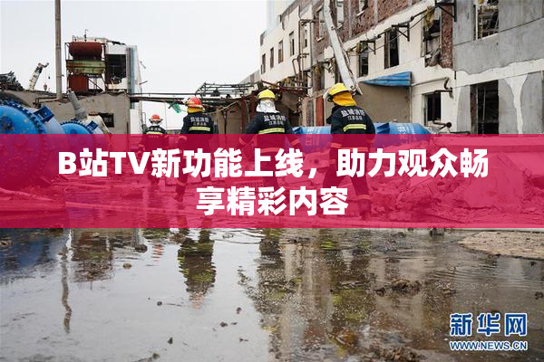 B站TV新功能上线，助力观众畅享精彩内容