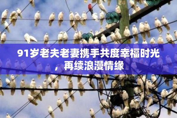 91岁老夫老妻携手共度幸福时光，再续浪漫情缘