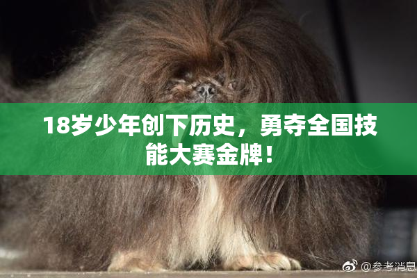 18岁少年创下历史，勇夺全国技能大赛金牌！