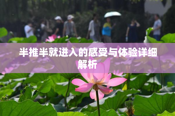 半推半就进入的感受与体验详细解析