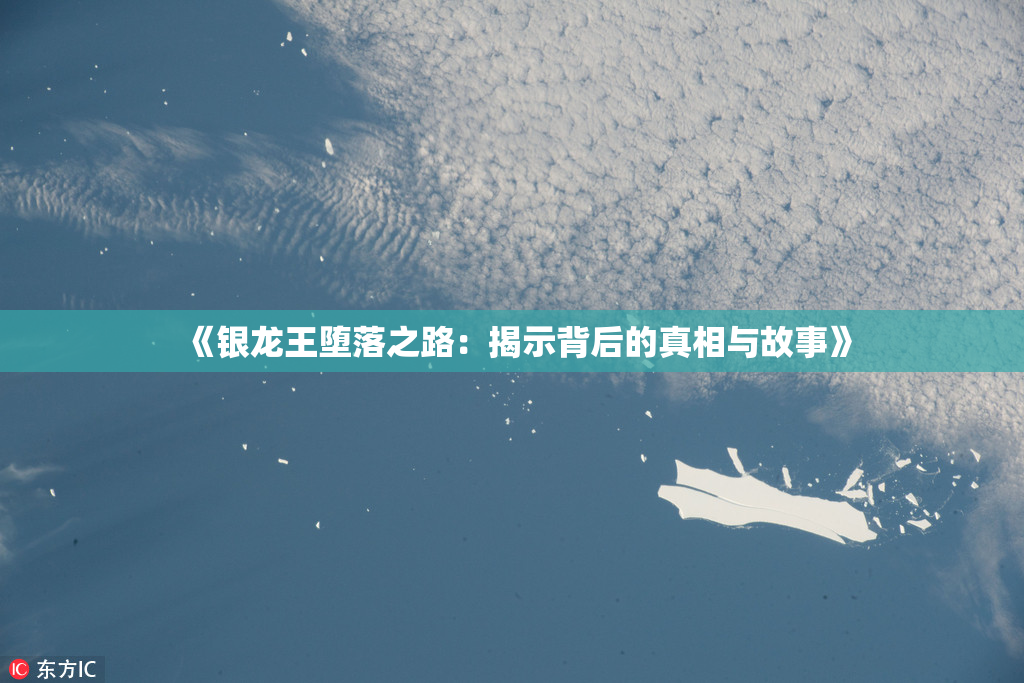 《银龙王堕落之路：揭示背后的真相与故事》