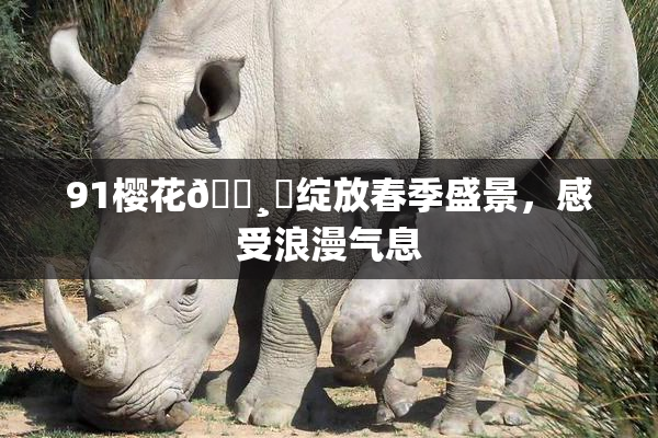 91樱花🌸‌绽放春季盛景，感受浪漫气息