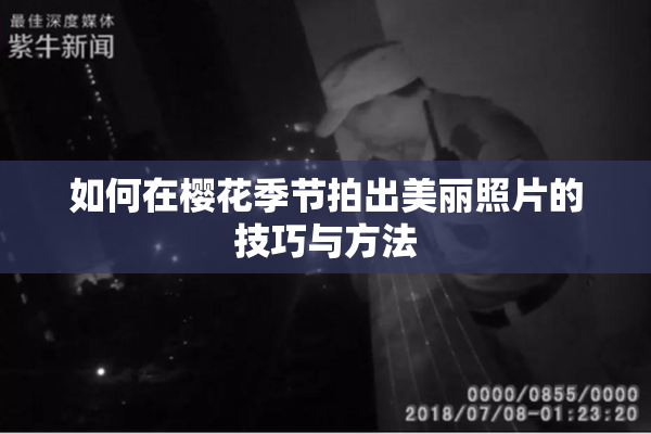 如何在樱花季节拍出美丽照片的技巧与方法