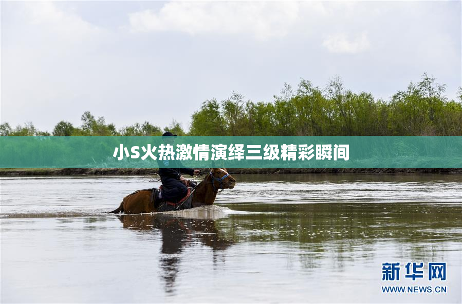 小S火热激情演绎三级精彩瞬间