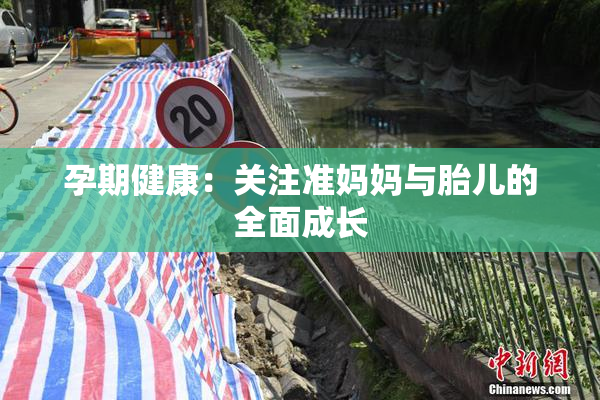 孕期健康：关注准妈妈与胎儿的全面成长