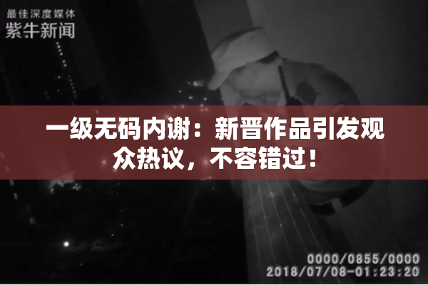 一级无码内谢：新晋作品引发观众热议，不容错过！