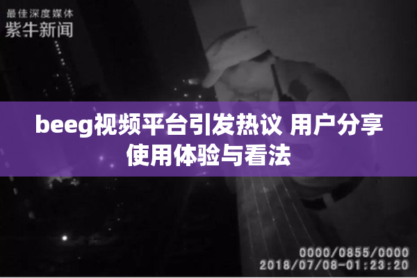 beeg视频平台引发热议 用户分享使用体验与看法