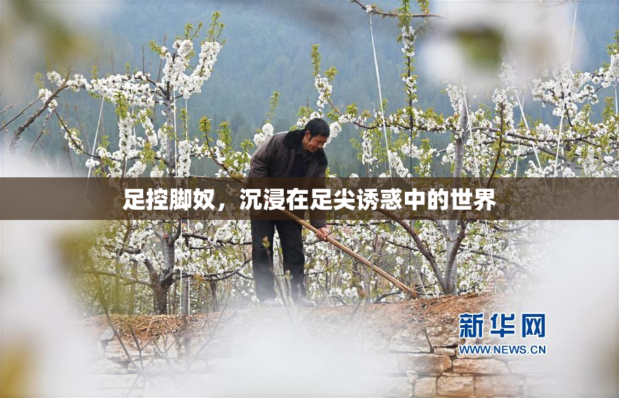 足控脚奴，沉浸在足尖诱惑中的世界