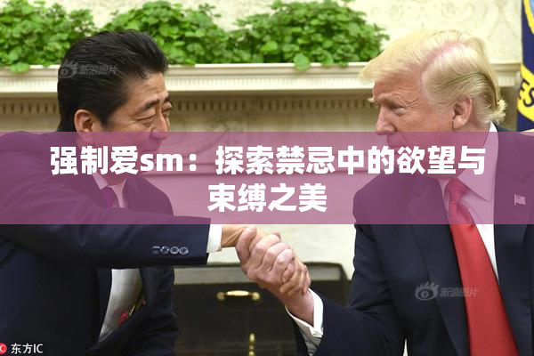 强制爱sm：探索禁忌中的欲望与束缚之美