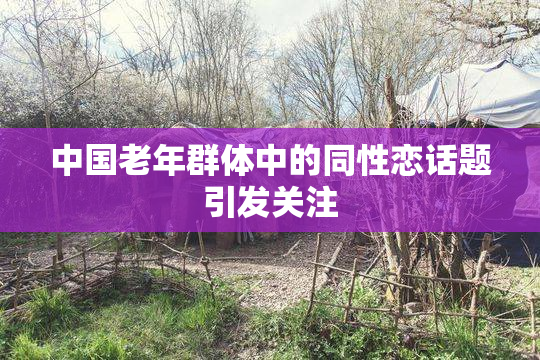 中国老年群体中的同性恋话题引发关注
