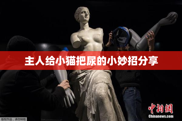 主人给小猫把尿的小妙招分享