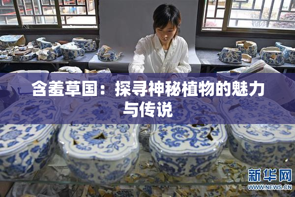 含羞草国：探寻神秘植物的魅力与传说