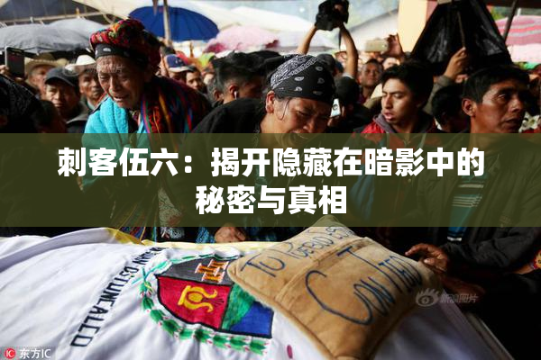 刺客伍六：揭开隐藏在暗影中的秘密与真相