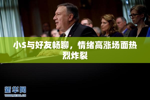 小S与好友畅聊，情绪高涨场面热烈炸裂