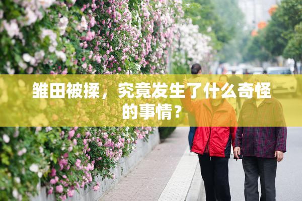 雏田被揉，究竟发生了什么奇怪的事情？