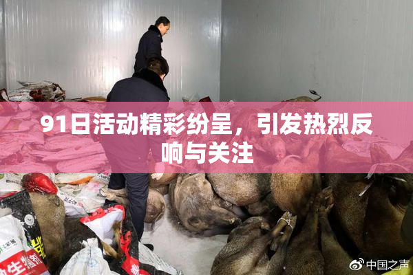 91日活动精彩纷呈，引发热烈反响与关注