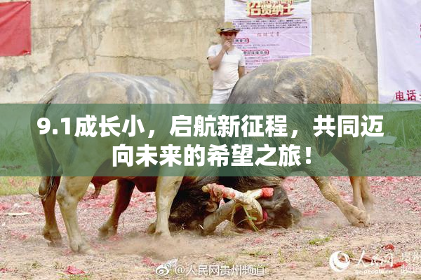 9.1成长小，启航新征程，共同迈向未来的希望之旅！