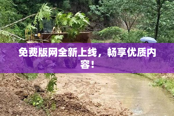 免费版网全新上线，畅享优质内容！