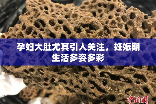 孕妇大肚尤其引人关注，妊娠期生活多姿多彩