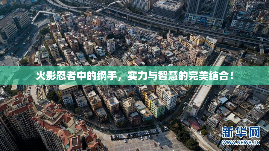 火影忍者中的纲手，实力与智慧的完美结合！