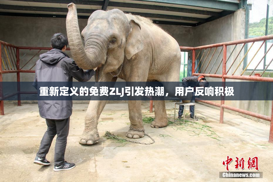 重新定义的免费ZLJ引发热潮，用户反响积极